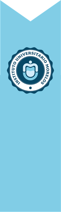 Instituto Universitario Morelos