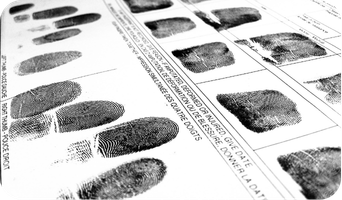 Maestría Criminología